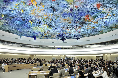 Slovenia elected member of UN Human Rights Council