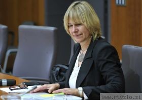 Smerkolj Confirmed as New Development Minister