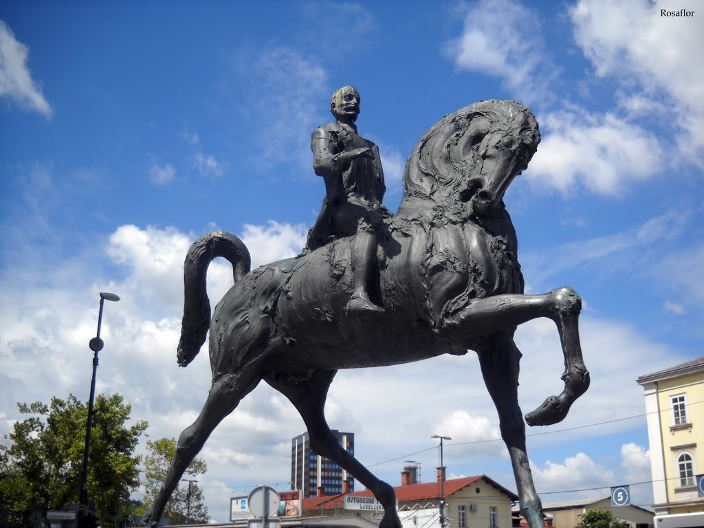 Slovenia Remembering WWI General Maister