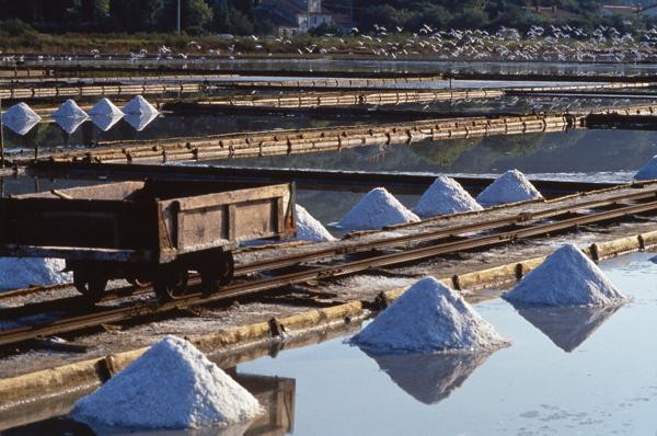 Rainfall Blocks Traditional Sea Salt Production in Sečovlje